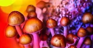 Benefits of Buying Psychedelics Online